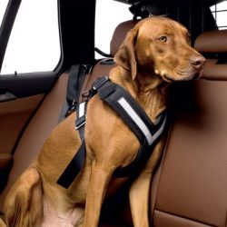 ZOOSHOP.ONLINE - Tiešsaistes Mājdzīvnieku Veikals - Kleinmetall Allsafe автомобильный ремень безопасности для собак Размер M