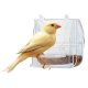 ZOOSHOP.ONLINE - Tiešsaistes Mājdzīvnieku Veikals - Ferplast barotava PRETTY ārējā priekš maziem un vidējiem putniem