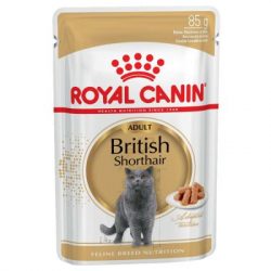 ZOOSHOP.ONLINE - Tiešsaistes Mājdzīvnieku Veikals - Royal Canin Breed British Shorthair Adult в соусе 12 x 85 гр