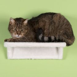 ZOOSHOP.ONLINE - Tiešsaistes Mājdzīvnieku Veikals - Настенная плюшевая кровать для кошек