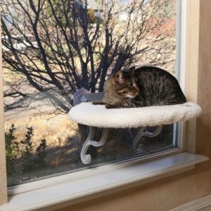 ZOOSHOP.ONLINE - Zoopreču internetveikals - Gultiņa kaķiem uz loga ar ortopēdisko matraci