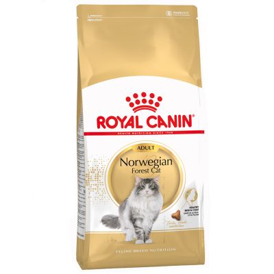 ZOOSHOP.ONLINE - Tiešsaistes Mājdzīvnieku Veikals - Royal Canin Breed Norwegian Forest cat Adult 10 кг
