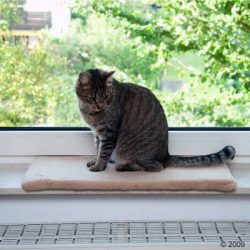 Плюшевая лежанка для кошек на подоконник
