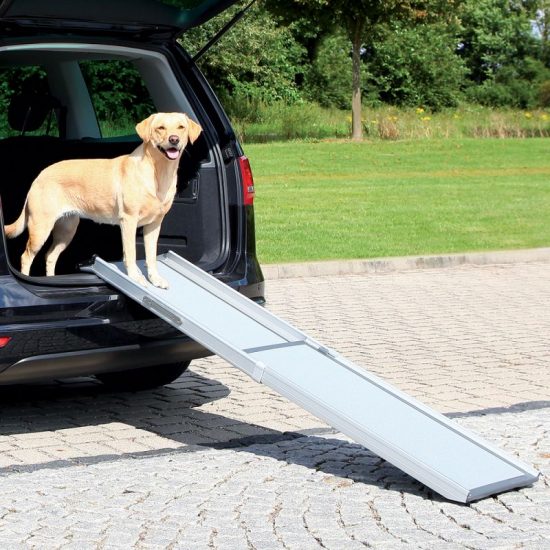 ZOOSHOP.ONLINE - Tiešsaistes Mājdzīvnieku Veikals - PetSafe телескопическая рампа для собак
