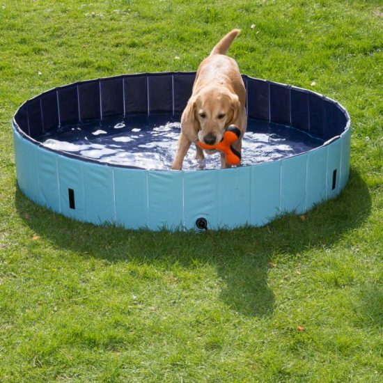 ZOOSHOP.ONLINE - Tiešsaistes Mājdzīvnieku Veikals - Baseins suņiem Dog Pool Keep Cool 160 x 30