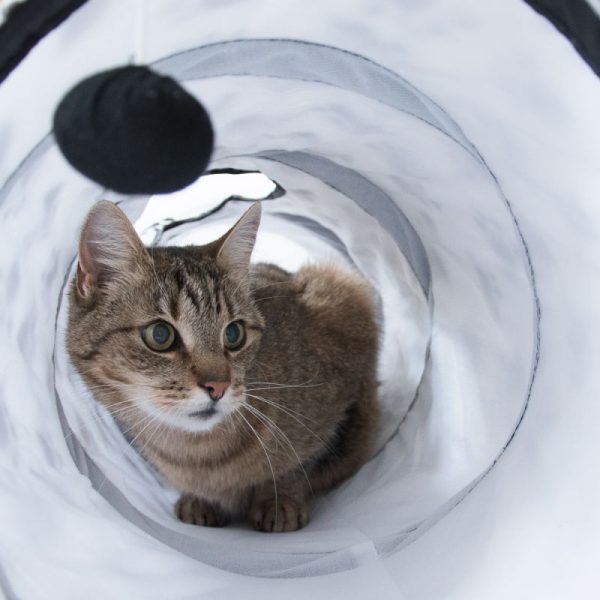 ZOOSHOP.ONLINE - mājdzīvnieku preces - Kaķu tunelis 100 cm ar rakstu