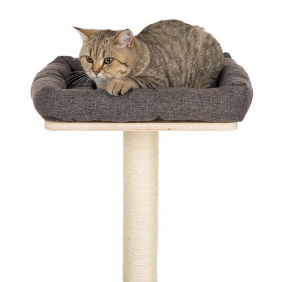 ZOOSHOP.ONLINE - Tiešsaistes Mājdzīvnieku Veikals - Домик для кошек из дерева Modern Living Iona серый 116 см
