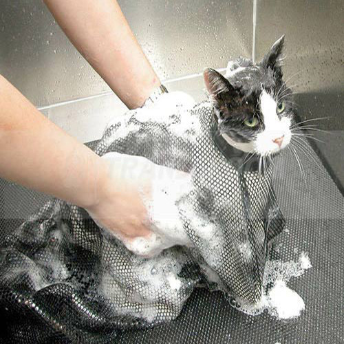 ZOOSHOP.ONLINE - Tiešsaistes Mājdzīvnieku Veikals - Сетка для мытья кошек Show Tech Cat