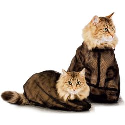 ZOOSHOP.ONLINE - Tiešsaistes Mājdzīvnieku Veikals - Kaķu mazgāšanas mais Cat Show Tech