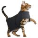 ZOOSHOP.ONLINE - mājdzīvnieku preces - Nomierinoša veste kaķiem 4-6 kg / 33-43 cm