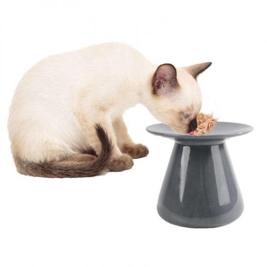 ZOOSHOP.ONLINE - Tiešsaistes Mājdzīvnieku Veikals - Augsta keramikas bļoda kaķiem, diametrs 15,5 cm