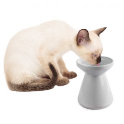 Керамическая поилка для кошек на ножке 150 мл