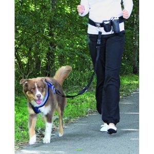ZOOSHOP.ONLINE - mājdzīvnieku preces - Siksna skriešanai ar suni Pawise Doggy Jogger Kit