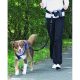 ZOOSHOP.ONLINE - Tiešsaistes Mājdzīvnieku Veikals - Siksna skriešanai ar suni Pawise Doggy Jogger Kit