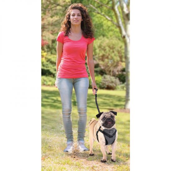 ZOOSHOP.ONLINE - Tiešsaistes Mājdzīvnieku Veikals - Suņu pavada - Siksna suņiem - Ceļojuma iemaukti 5 - 11 kg