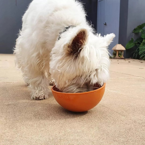 ZOOSHOP.ONLINE - Tiešsaistes Mājdzīvnieku Veikals - LickiMat Wobble миска для лизания, которая замедляет прием пищи у собаки